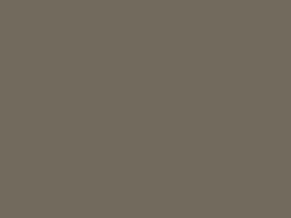 7299439a.jpg